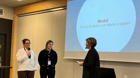 Modul presenterade på Norrlandskonferensen 2023